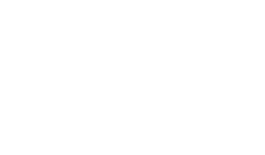 Logistics OPeration EXcellence Expert