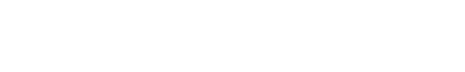 Logistics OPeration EXcellence Expert